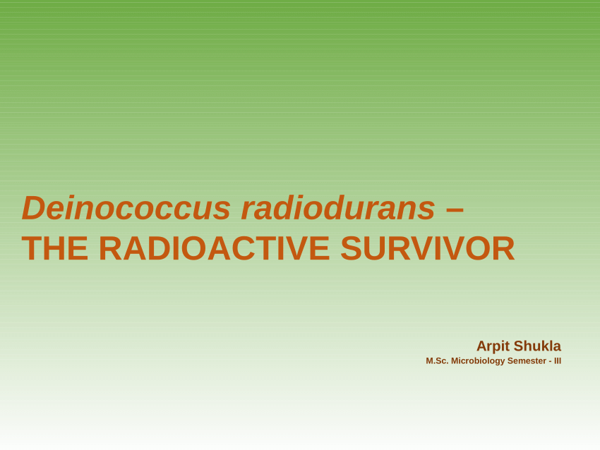 Deinococcus radiodurans — the consummate survivor