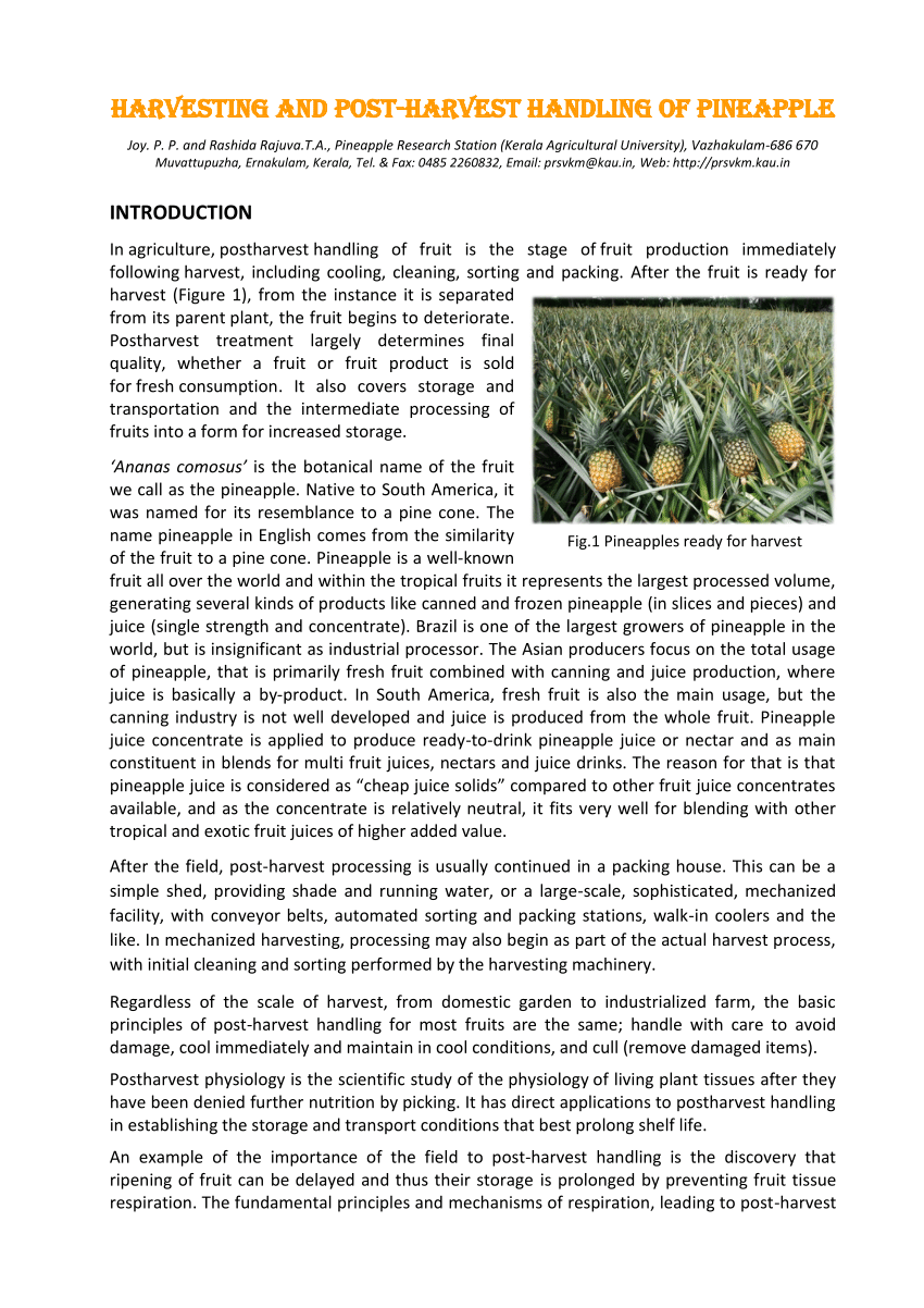 literature review on pineapple pdf