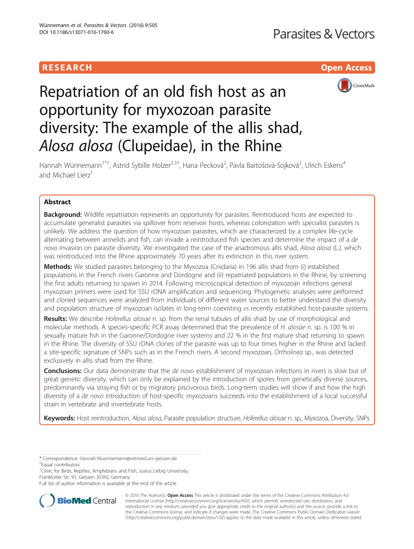 Pdf Repatriation Of An Old Fish Host As An Opportunity For Myxozoan Parasite Diversity The Example Of The Allis Shad Alosa Alosa Clupeidae In The Rhine