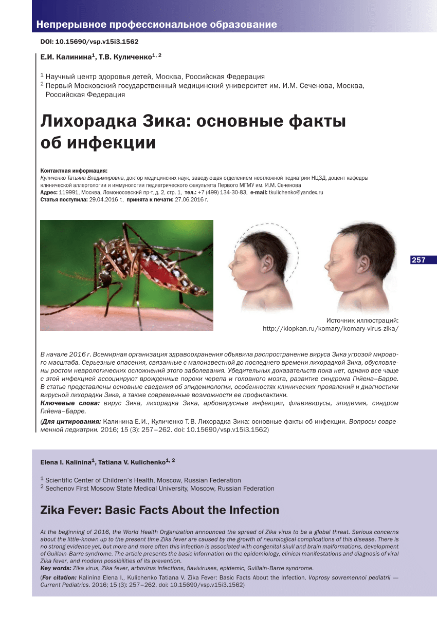 PDF) Zika Fever: Basic Facts About the Infection