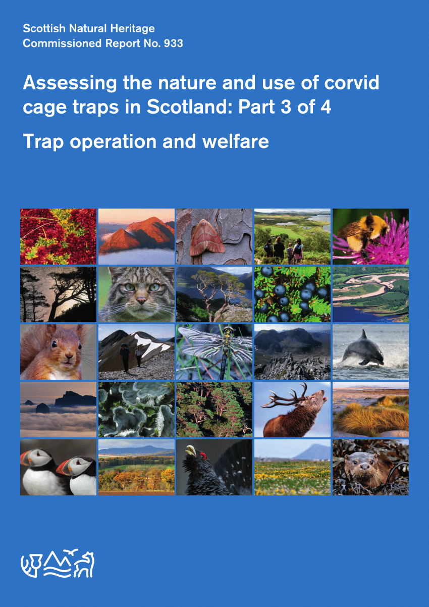corvid cage traps in Scotland