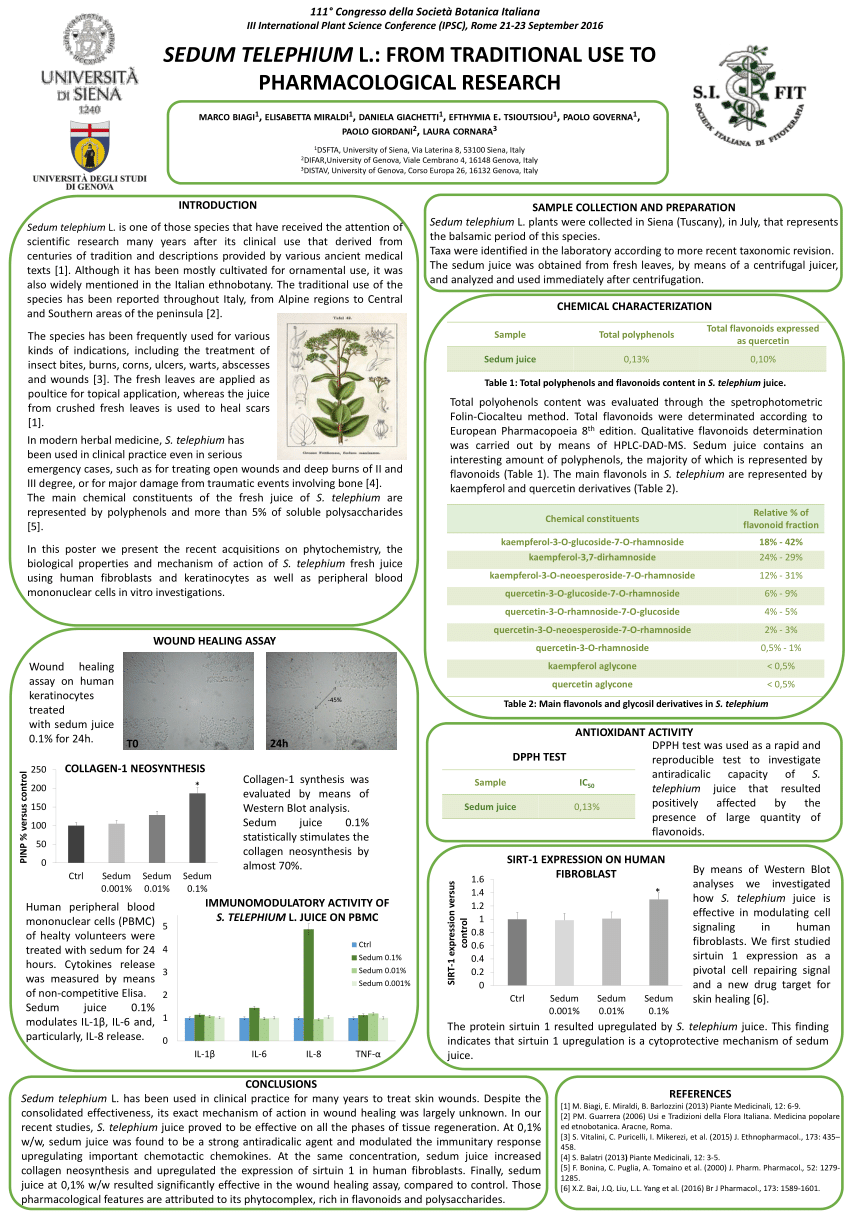 Pdf Sedum Telephium L From Traditional Use To Pharmacological Research