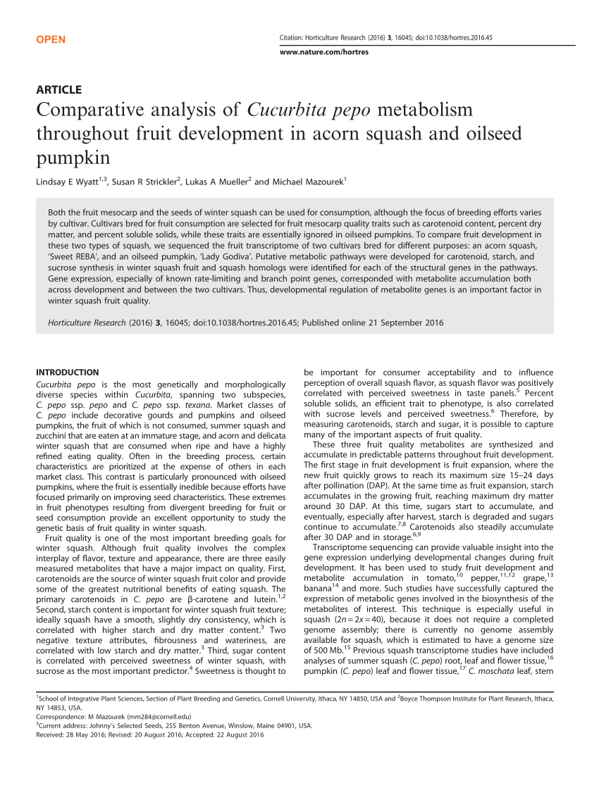 Pdf Comparative Analysis Of Cucurbita Pepo Metabolism Throughout