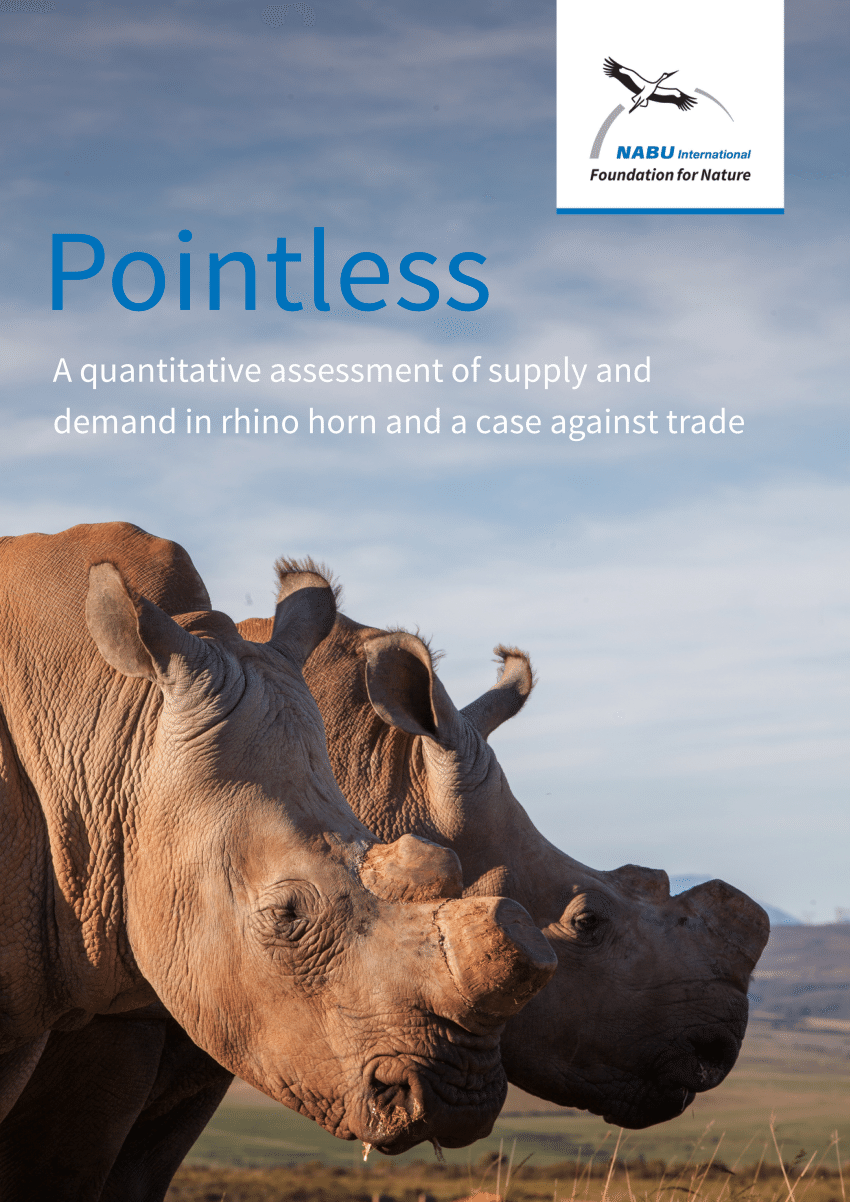 Value rhino horns Top 10: