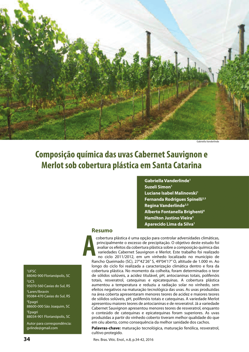 PDF) Chemical composition of Cabernet Sauvignon and Merlot grapes
