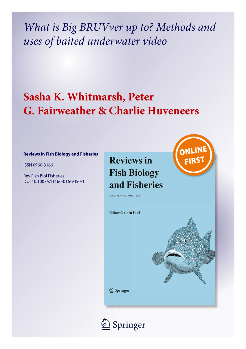 PDF) What is Big BRUVver up to? Methods and uses of baited underwater video