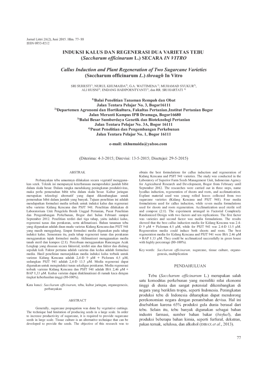 Pdf Induksi Kalus Dan Regenerasi Dua Varietas Tebu Saccharum Officinarum L Secara In Vitro 5137