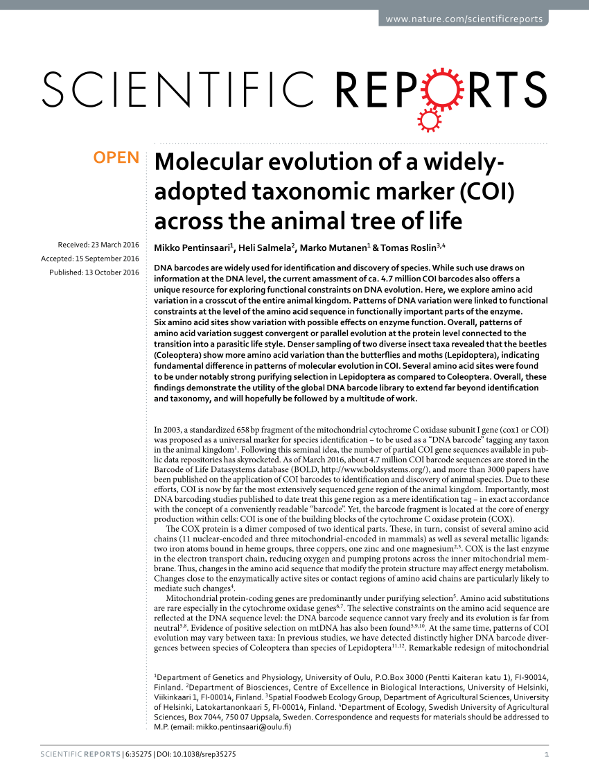 Pdf Molecular Evolution Of A Widely Adopted Taxonomic Marker Coi