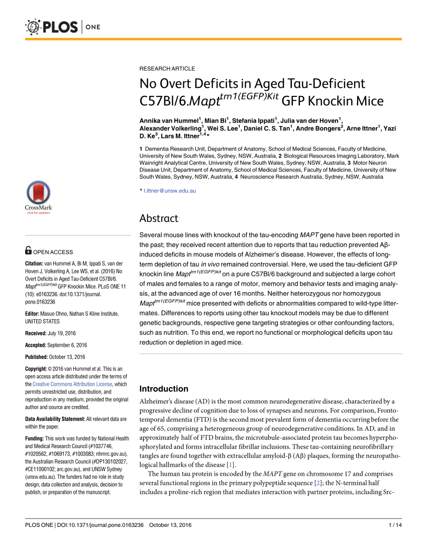 Pdf No Overt Deficits In Aged Tau Deficient C57bl 6 Mapttm1 Egfp Kit Gfp Knockin Mice
