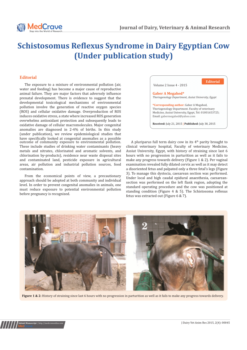 PDF) Schistosomus Reflexus Syndrome in Dairy Egyptian Cow (Under  publication study)