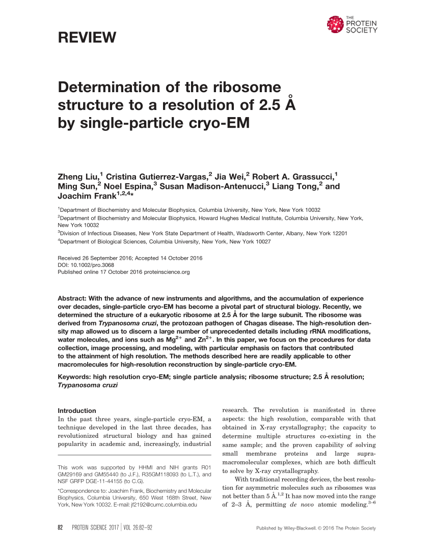 Pdf Determination Of The Ribosome Structure To A Resolution Of 2 5 A By Single Particle Cryo Em Determination Of The Ribosome Structure To 2 5 A