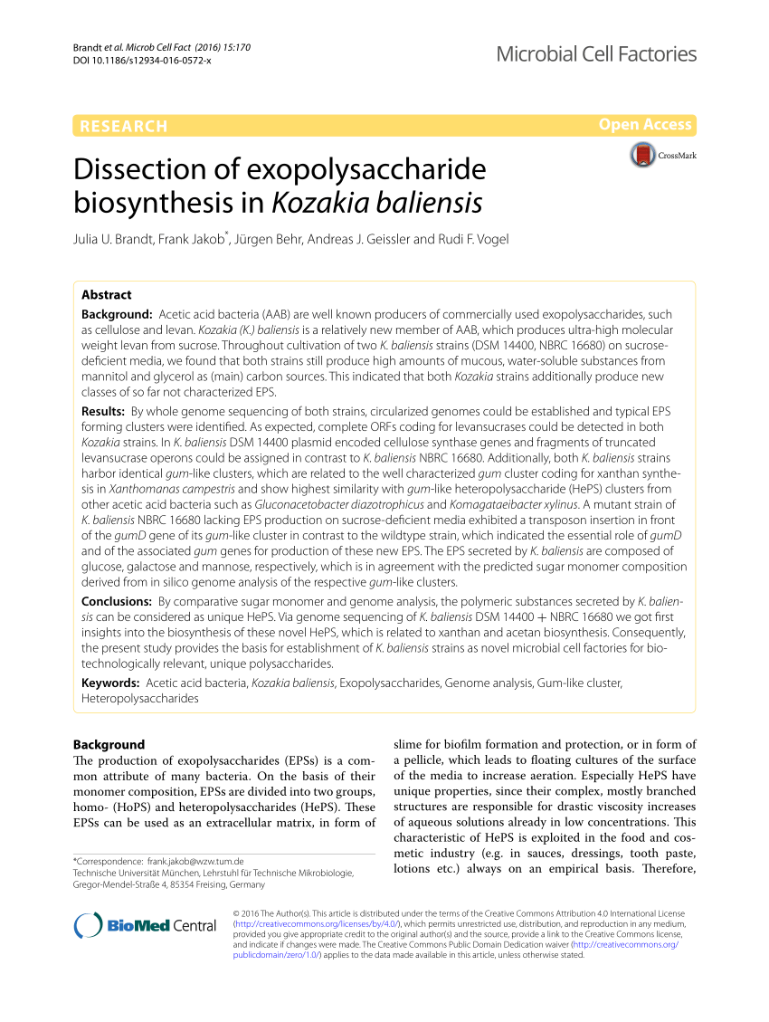 PDF) Dissection of exopolysaccharide biosynthesis in Kozakia baliensis