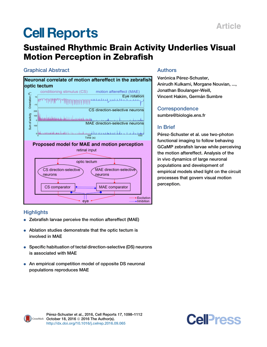 generic visual perception processor gvpp pdf