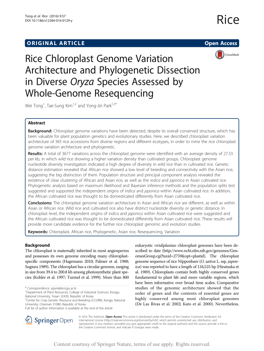 PDF) Rice Chloroplast Genome Variation Architecture and 