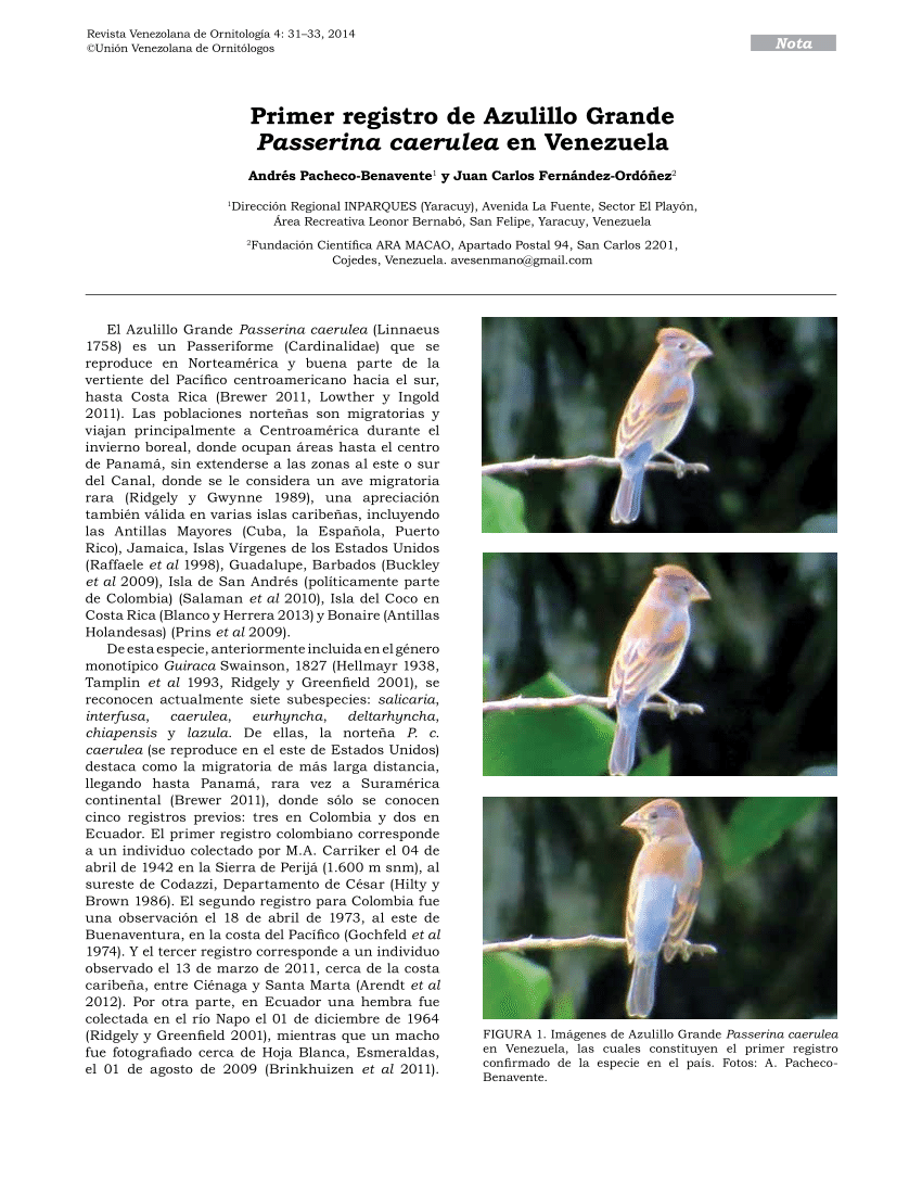 PDF Checklist Of The Birds Of Aruba Curaao And Bonaire South