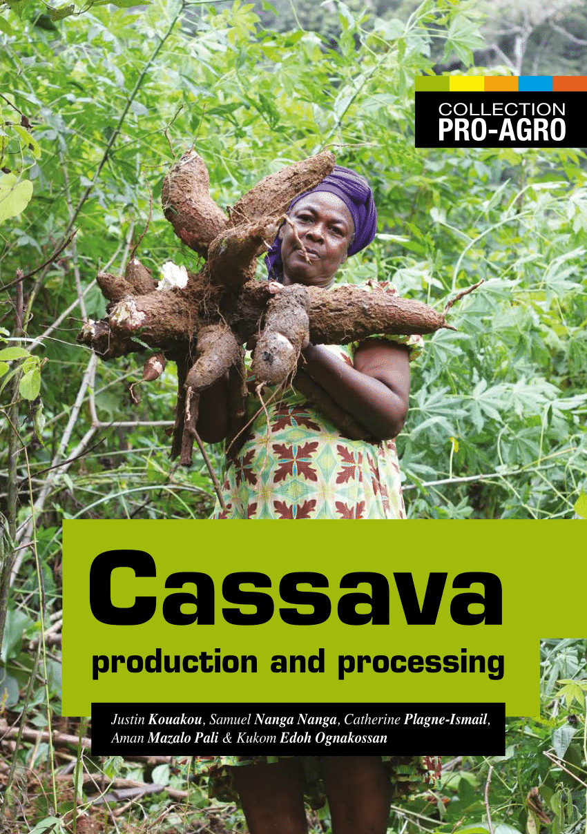 cassava processing business plan pdf
