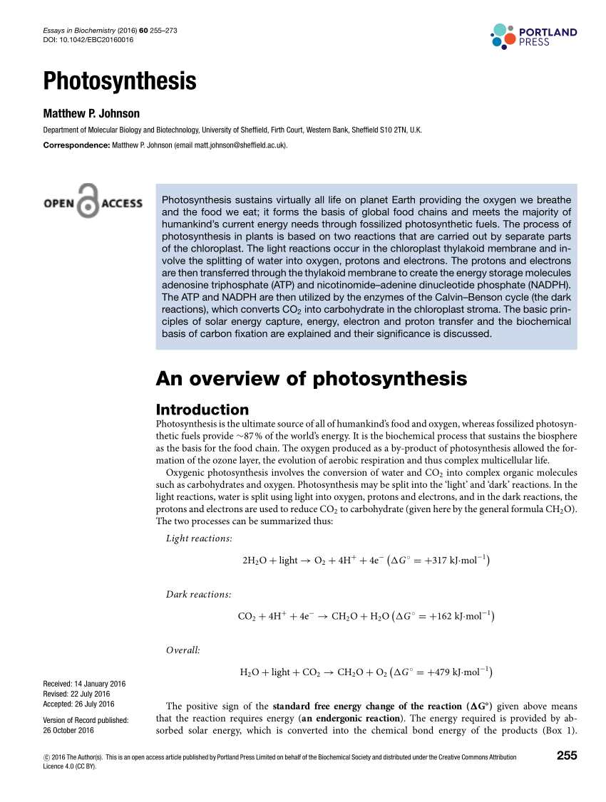 essay of photosynthesis