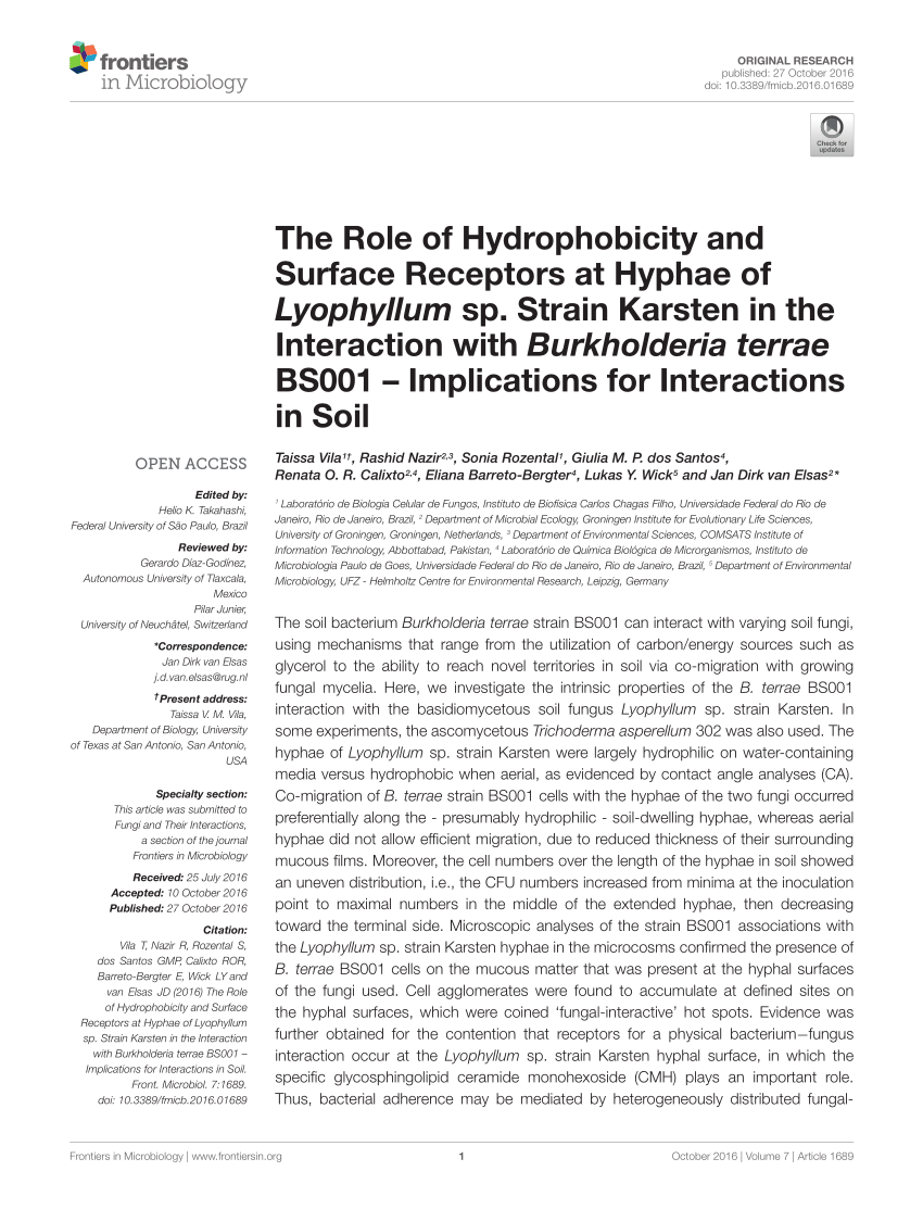 PDF) The Role of Hydrophobicity and Surface Receptors at Hyphae of ...