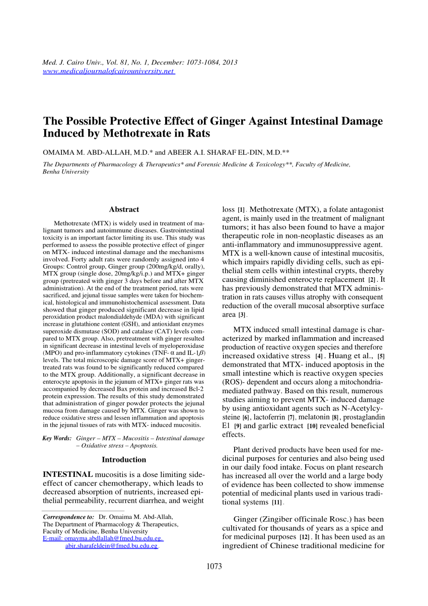 PDF) The Possible Protective Effect of Ginger against Intestinal Damage  Induced by Methotrexate in Rats