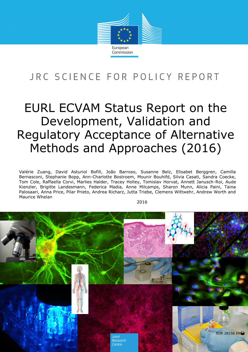 (PDF) EURL ECVAM Status Report on the Development, Validation and