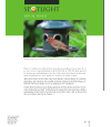 Preview image for House Finch (Haemorhous mexicanus)