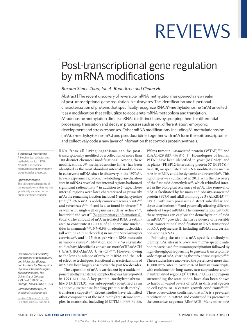 gene modification research paper