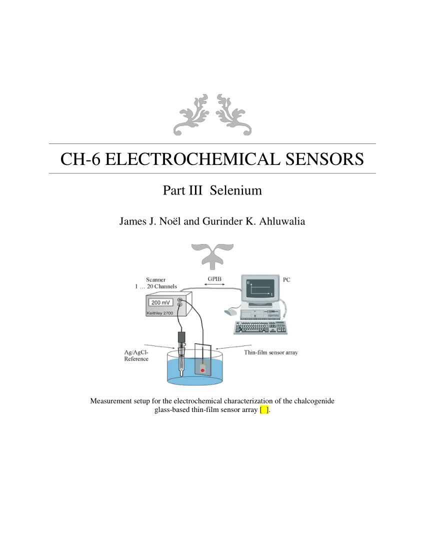 (PDF) Electrochemical Sensors