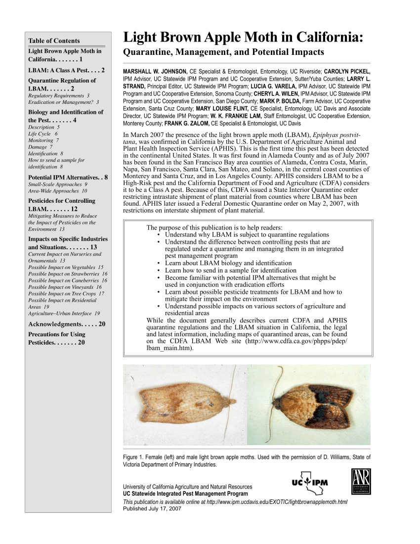 https://i1.rgstatic.net/publication/309727011_Light_brown_apple_moth_in_California_Quarantine_management_and_potential_impacts/links/581f71a908aeccc08af38d12/largepreview.png