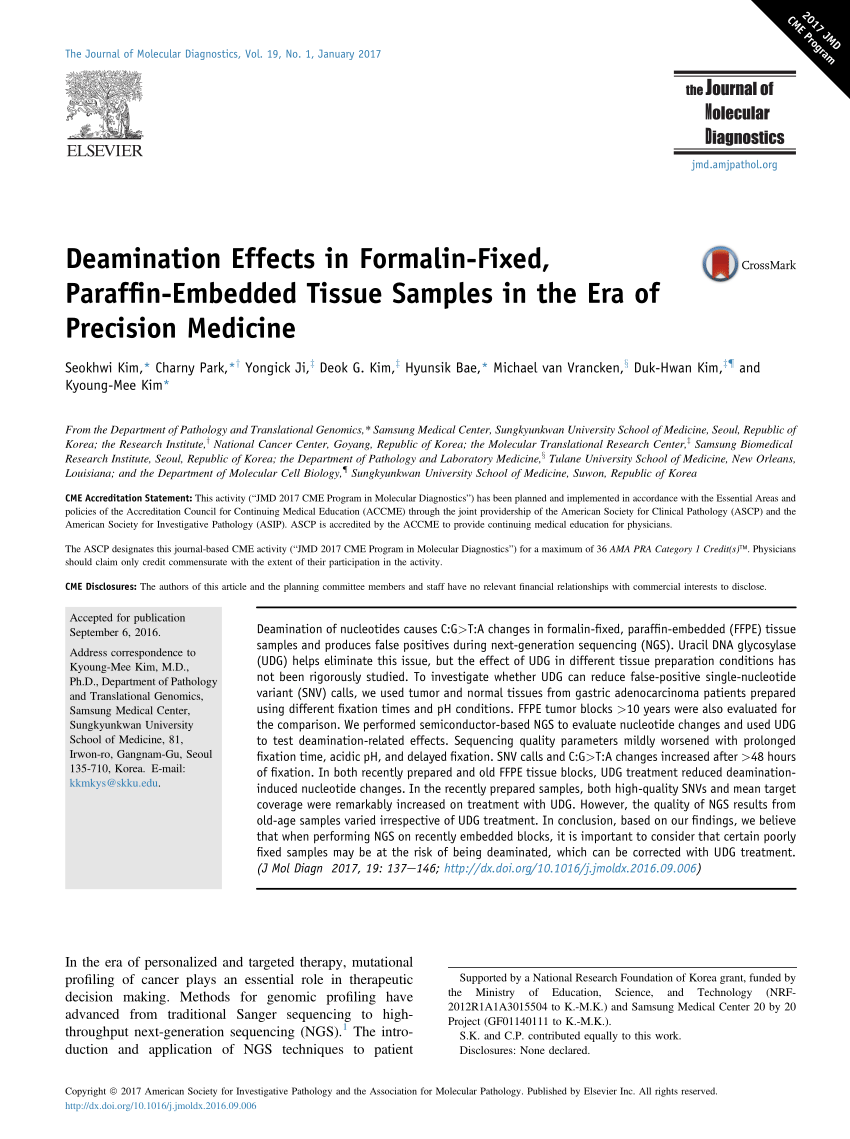 Pdf Deamination Effects In Formalin Fixed Paraffin Embedded Tissue Samples In The Era Of Precision Medicine