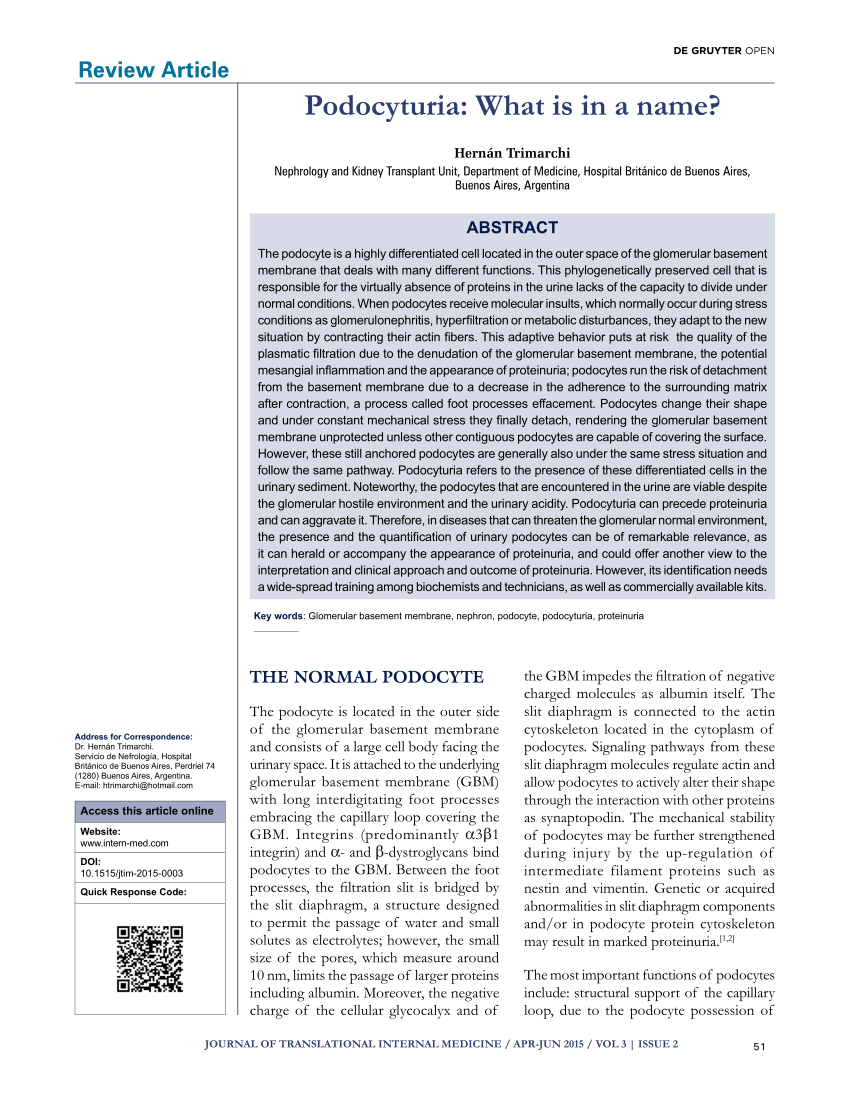 There is no correlation between podocyturia and the variables age