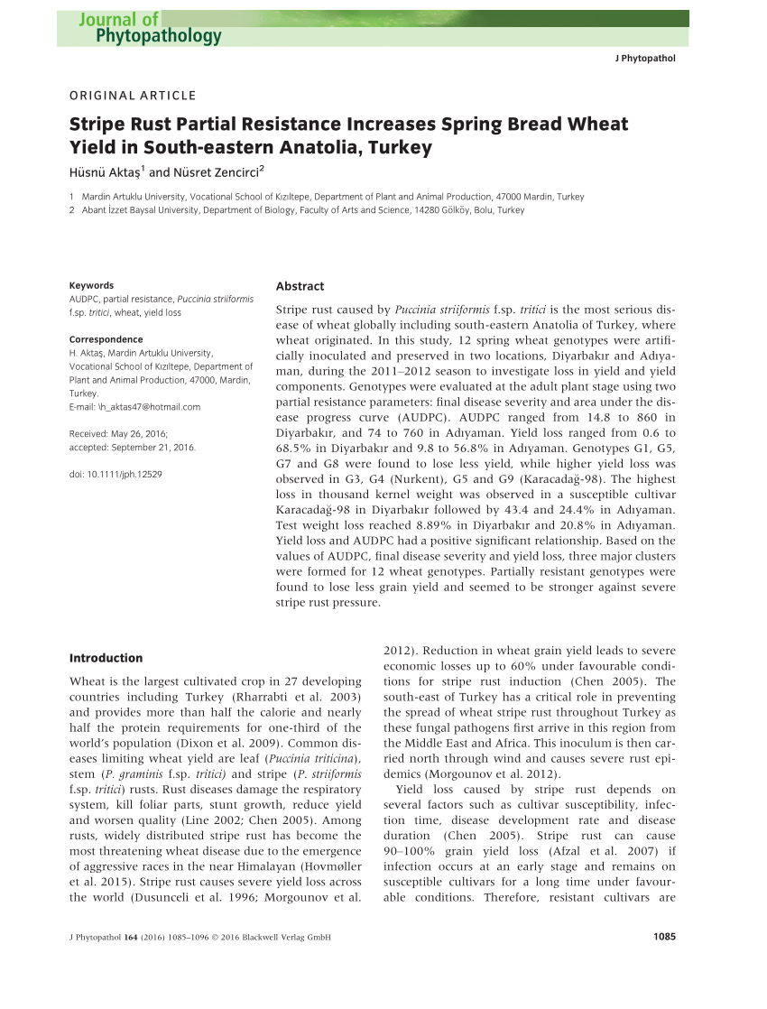 Pdf Stripe Rust Partial Resistance Increases Spring Bread Wheat Yield In South Eastern Anatolia Turkey