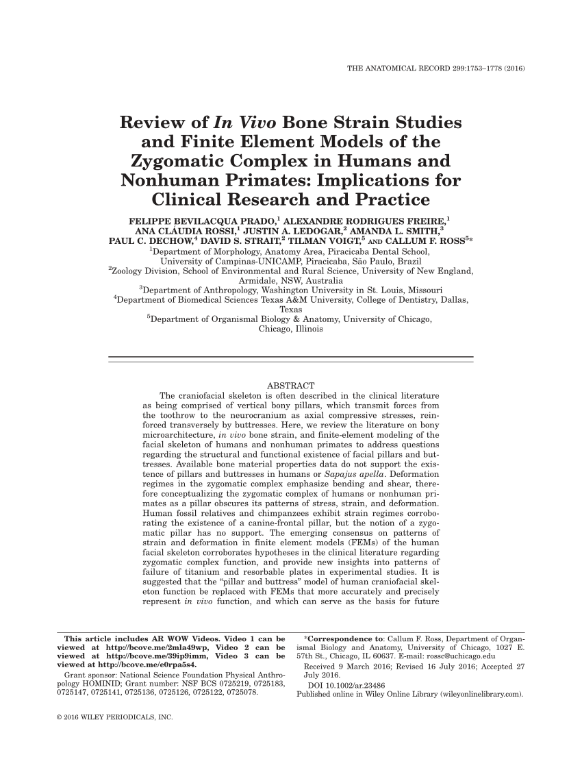 Stability of different fixation methods after reduction malarplasty under  average and maximum masticatory forces: a finite element analysis, BioMedical Engineering OnLine