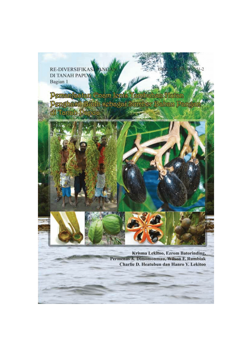  PDF  Re Diversifikasi Pangan  Tanah Papua Bagian 1 