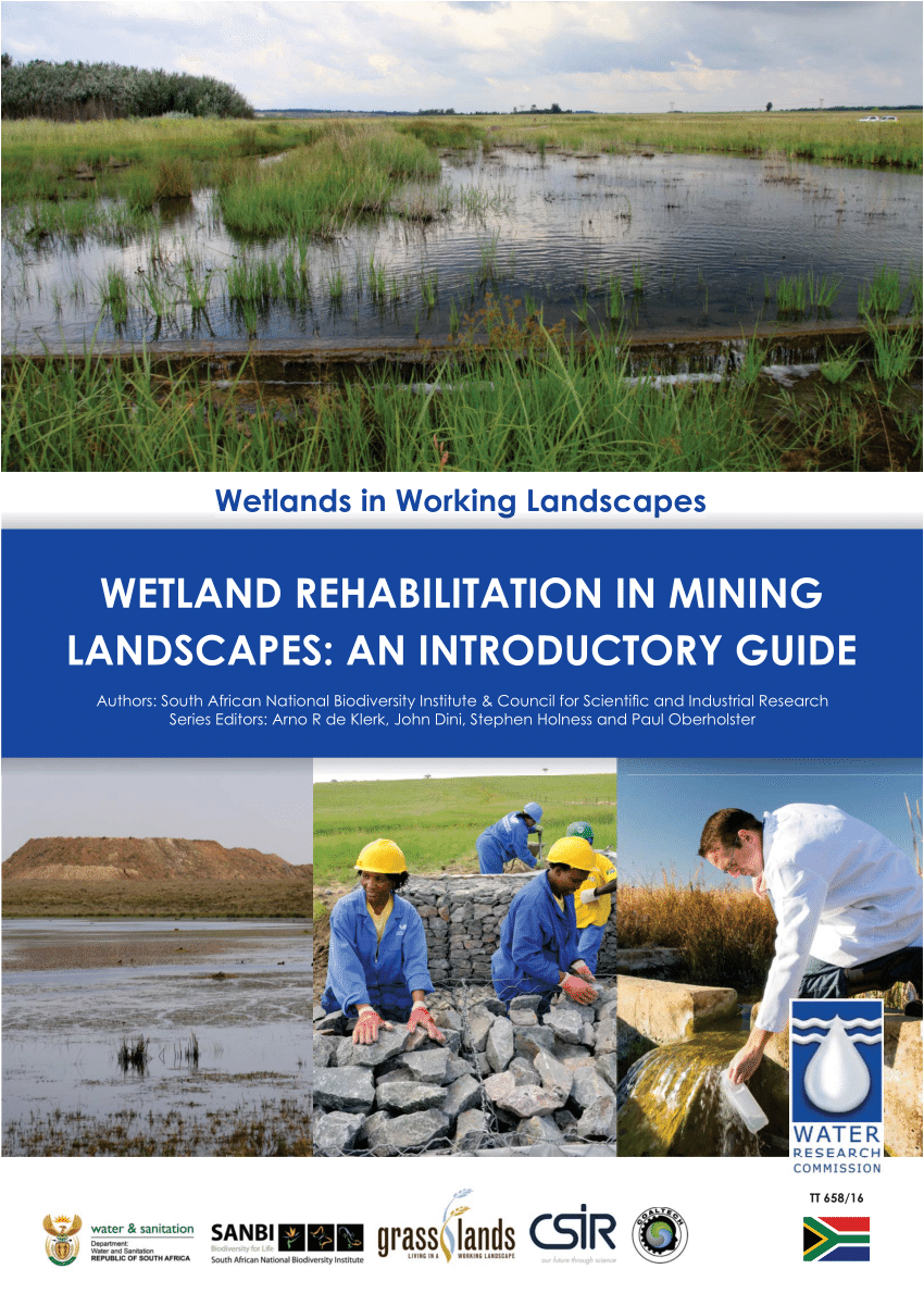 wetland research papers pdf