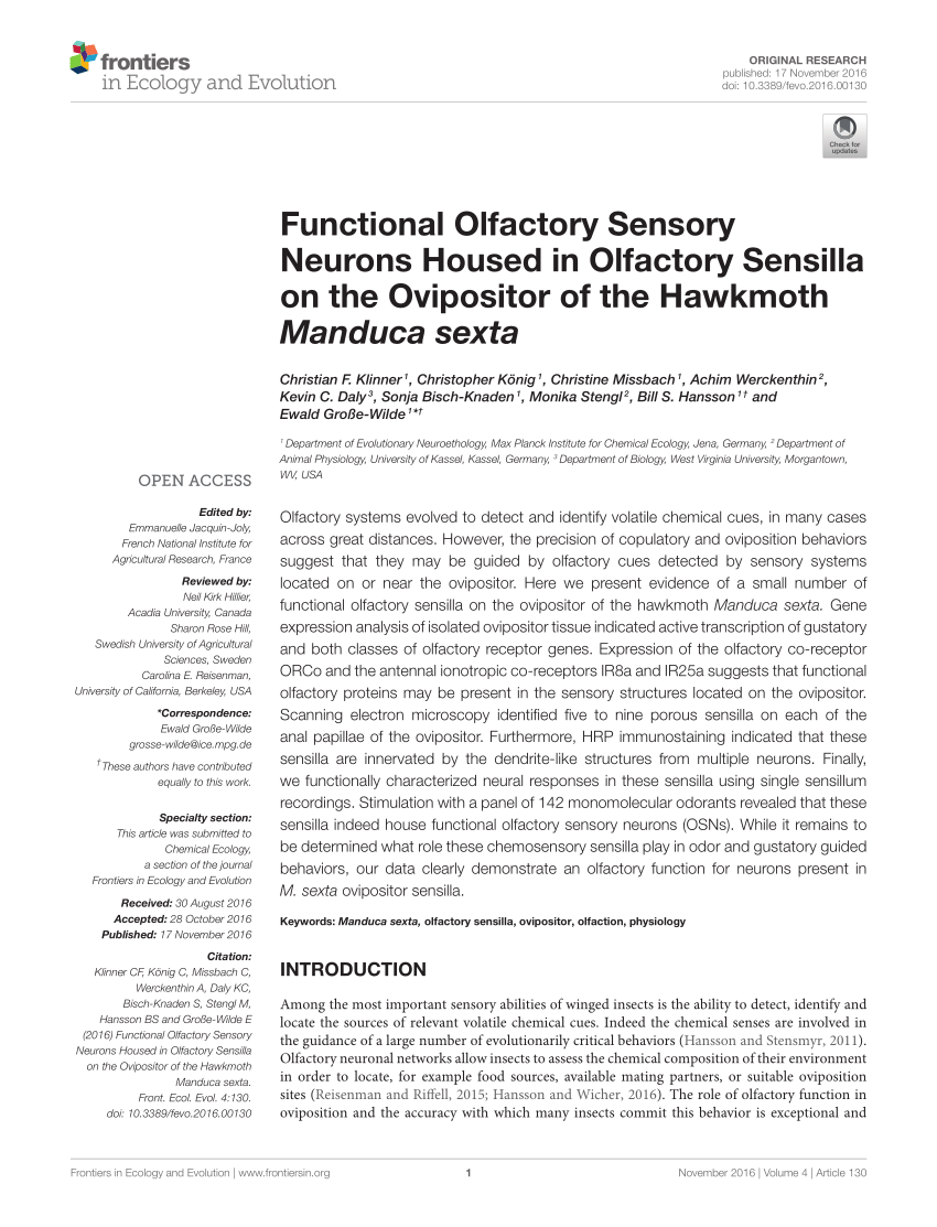 PDF) Functional Olfactory Sensory Neurons Housed in Olfactory ...