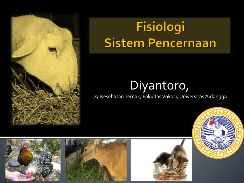 (PDF) Physiology of Animal Digestive System