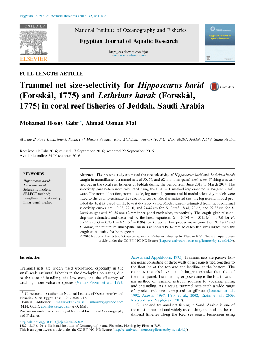 PDF) Trammel net size-selectivity for Hipposcarus harid (Forsskål, 1775)  and Lethrinus harak (Forsskål, 1775) in coral reef fisheries of Jeddah,  Saudi Arabia