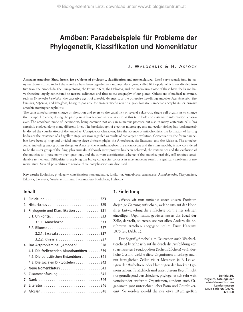 Pdf Amoben Paradebeispiele Fur Probleme Der Phylogenetik Klassifikation Und Nomenklatur