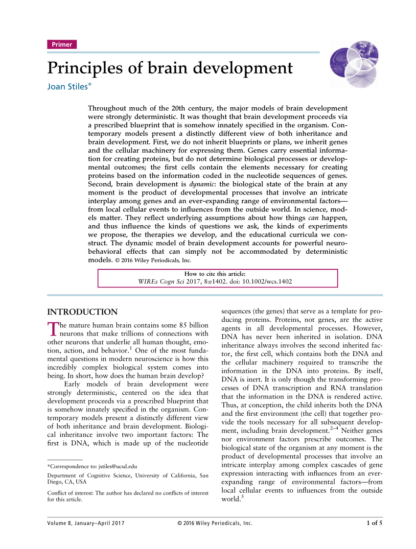 literature review brain development