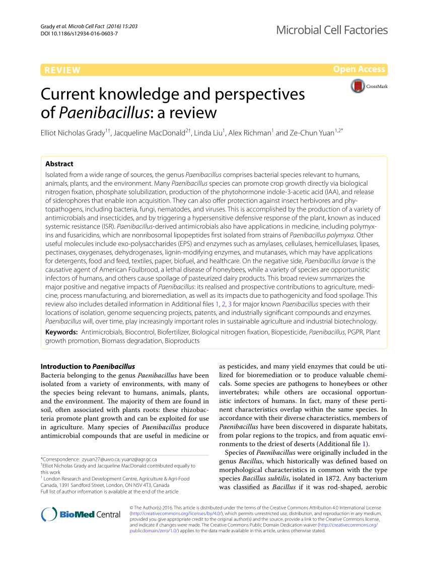 Pdf Current Knowledge And Perspectives Of Paenibacillus A Review