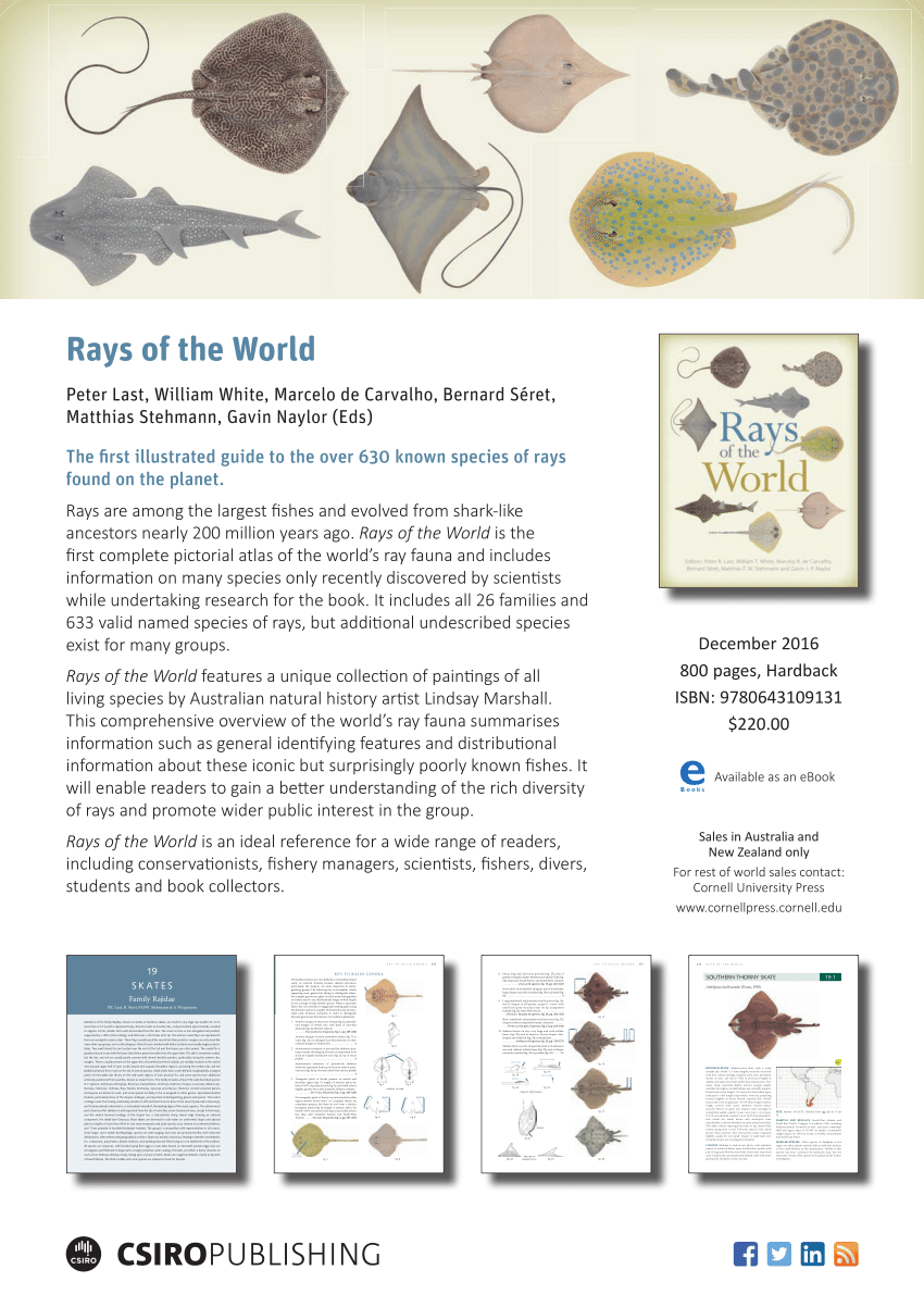 Pdf Rays Of The World