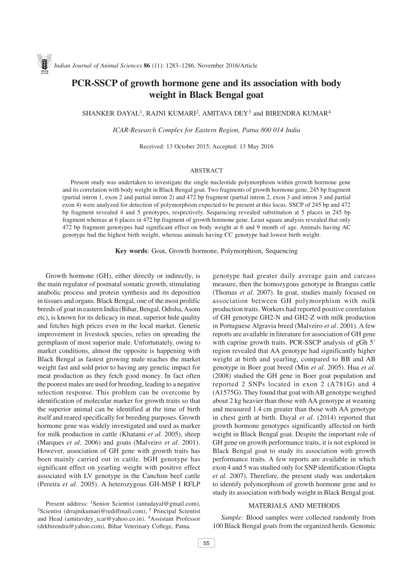 SSCP Testing Engine | Sns-Brigh10