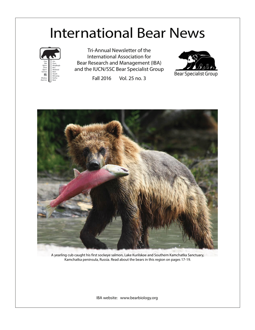 WSU partners with sanctuary to diagnose grizzly bear