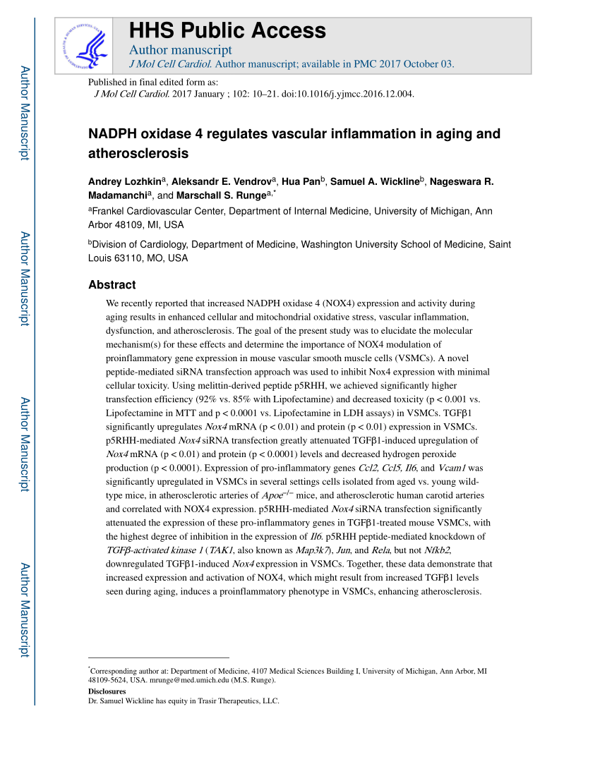 https://i1.rgstatic.net/publication/311616305_NADPH_oxidase_4_regulates_vascular_inflammation_in_aging_and_atherosclerosis/links/5b52315f45851507a7b3e919/largepreview.png