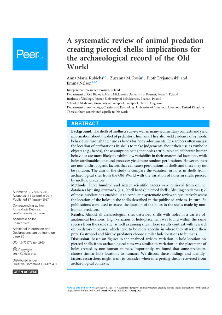 PDF) Marine Shell Beads from the Gravettian at Gargas Cave (Central  Pyrenees, France): cultural and territorial markers