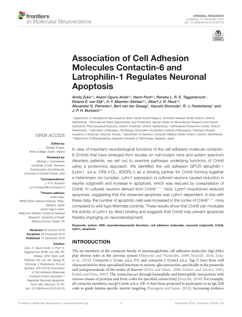 PDF) Association of Cell Adhesion Molecules Contactin-6 and ...