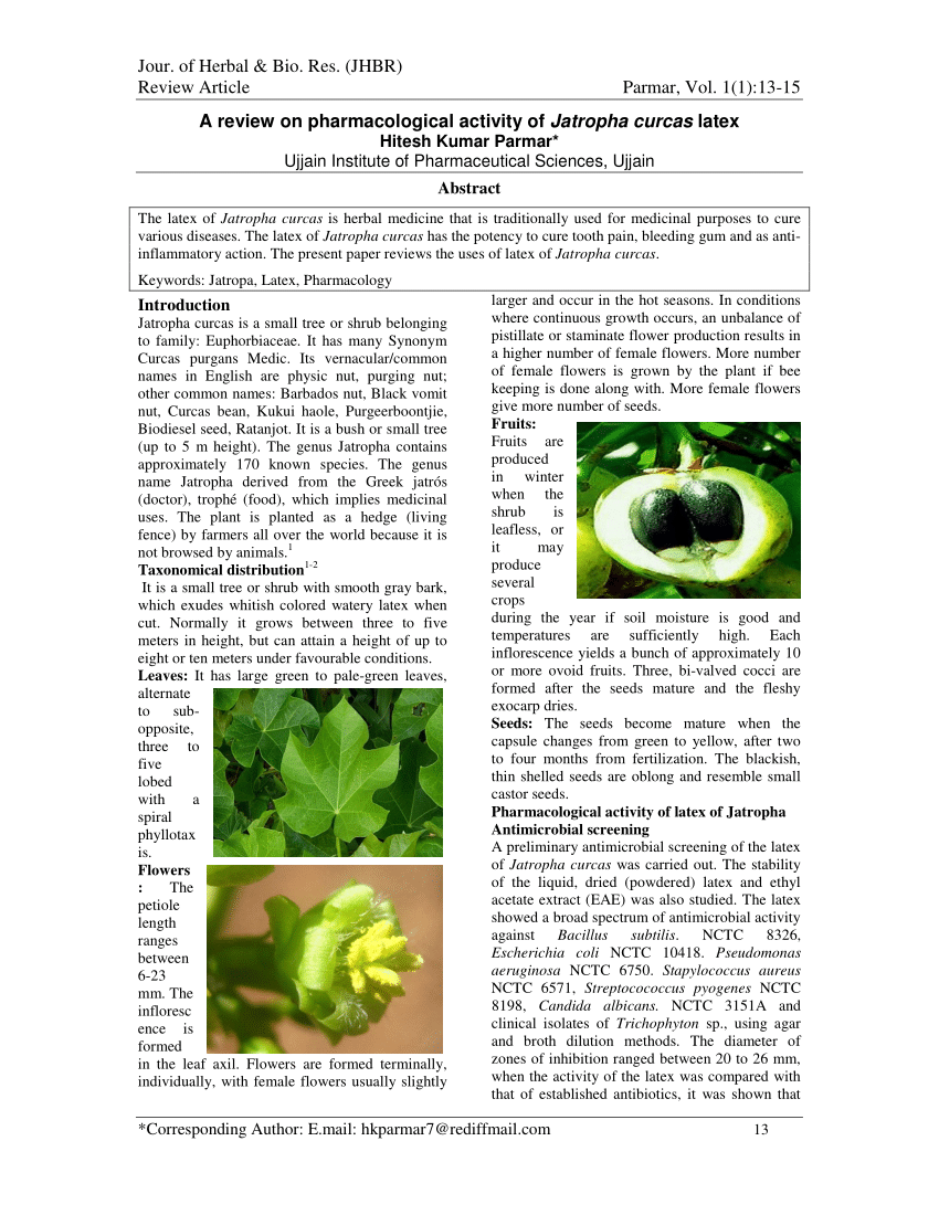 literature review of jatropha curcas