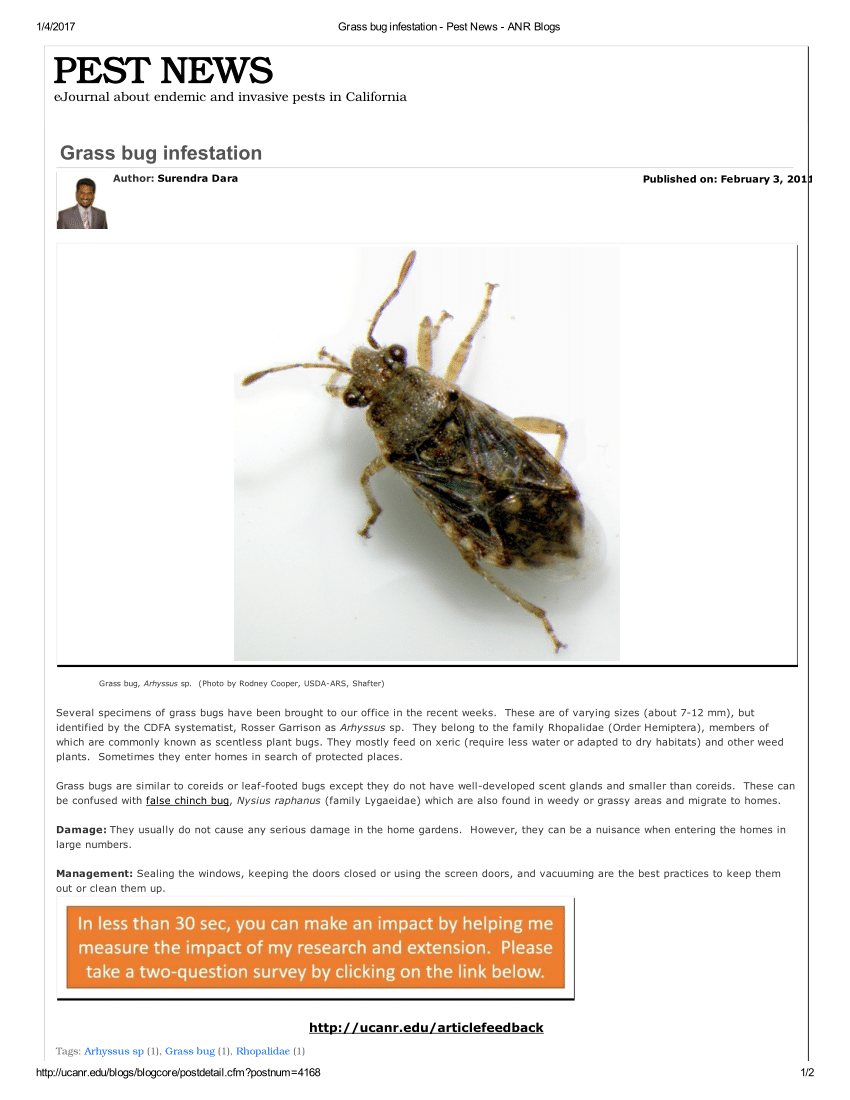 (PDF) Grass bug infestation