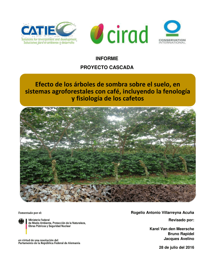 PDF) Efecto de los árboles de sombra sobre el suelo, en sistemas  agroforestales con café, incluyendo la fenología y fisiología de los cafetos