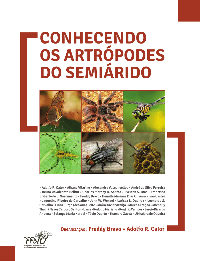 📌Vespas-caçadoras🕷️ . As - Projeto ConserVamos Cerrado